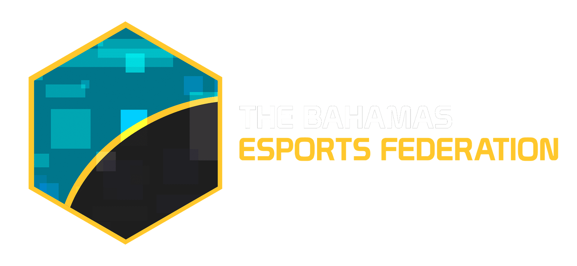 The Bahamas eSports Federation Logo-1-transparent_white